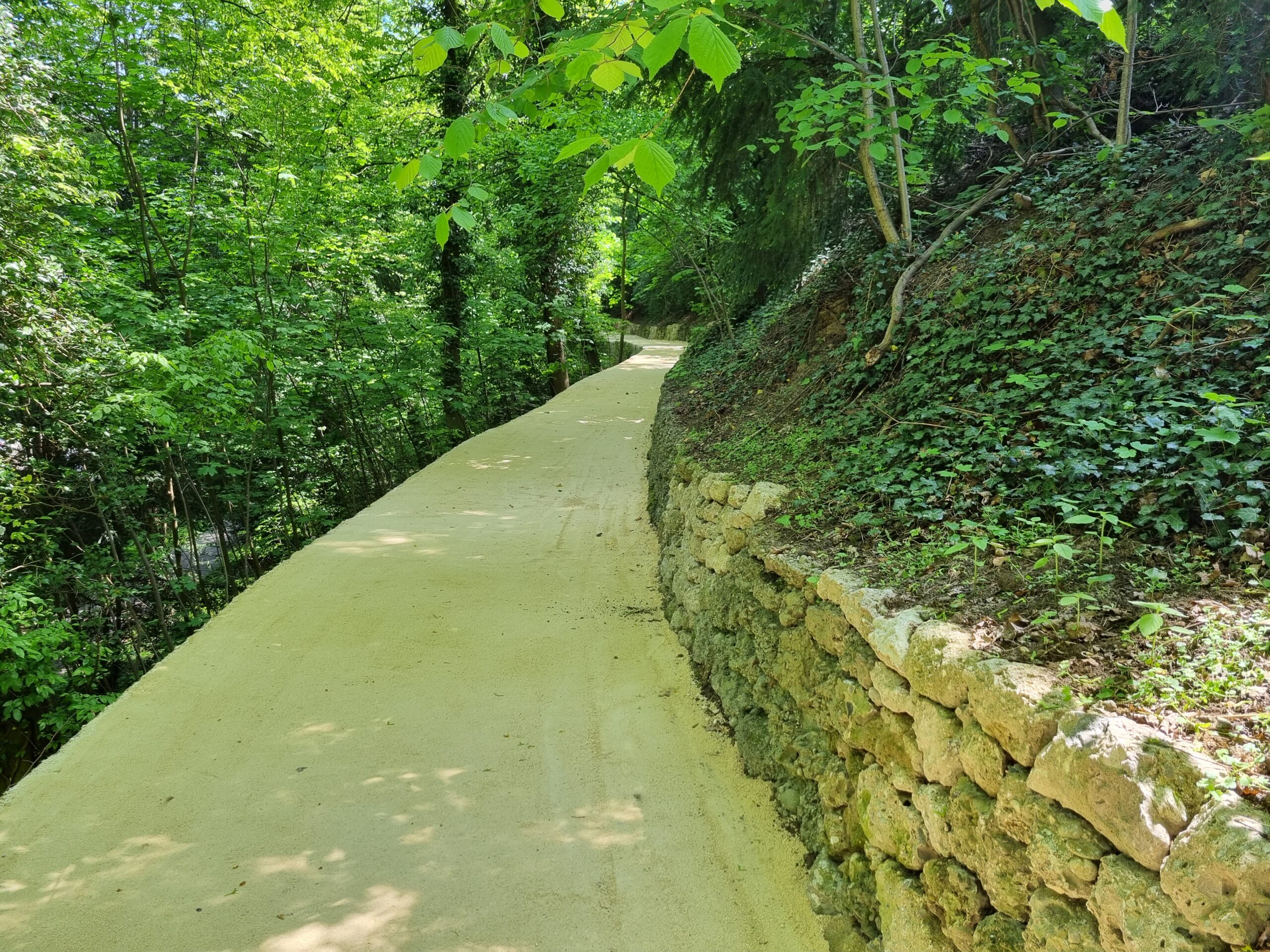 Gesamtsanierung Margarethenpark Basel