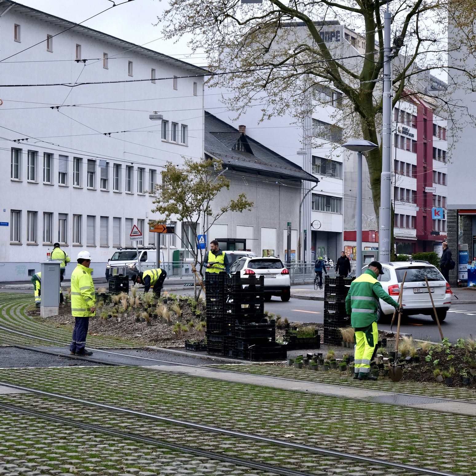 Pflanzarbeiten Viertelkreis Basel